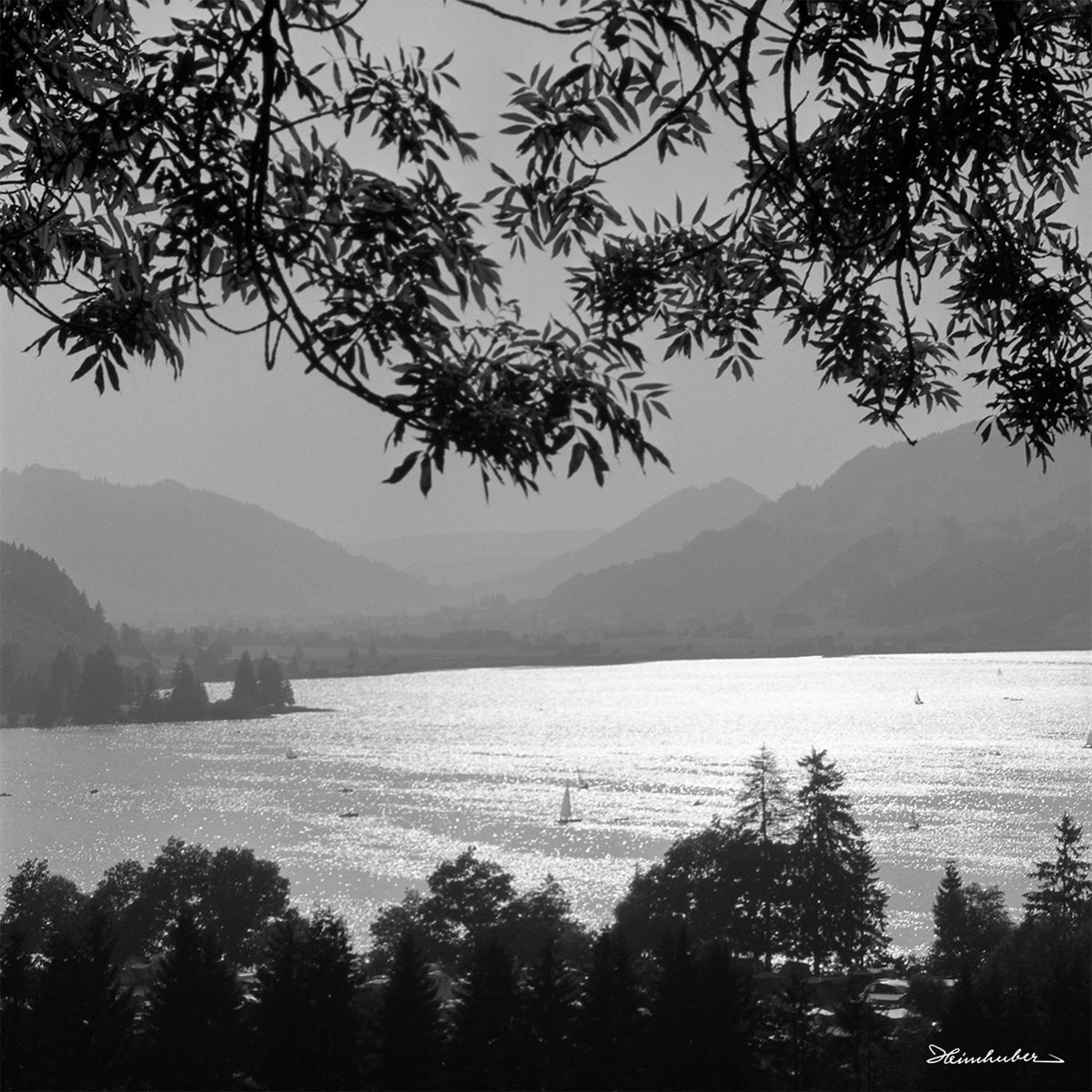 Alpsee mit Booten