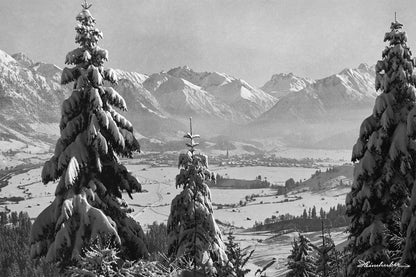 Winteridylle