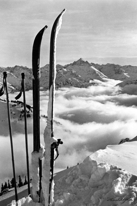 Blick vom Iseler zum Hochvogel
