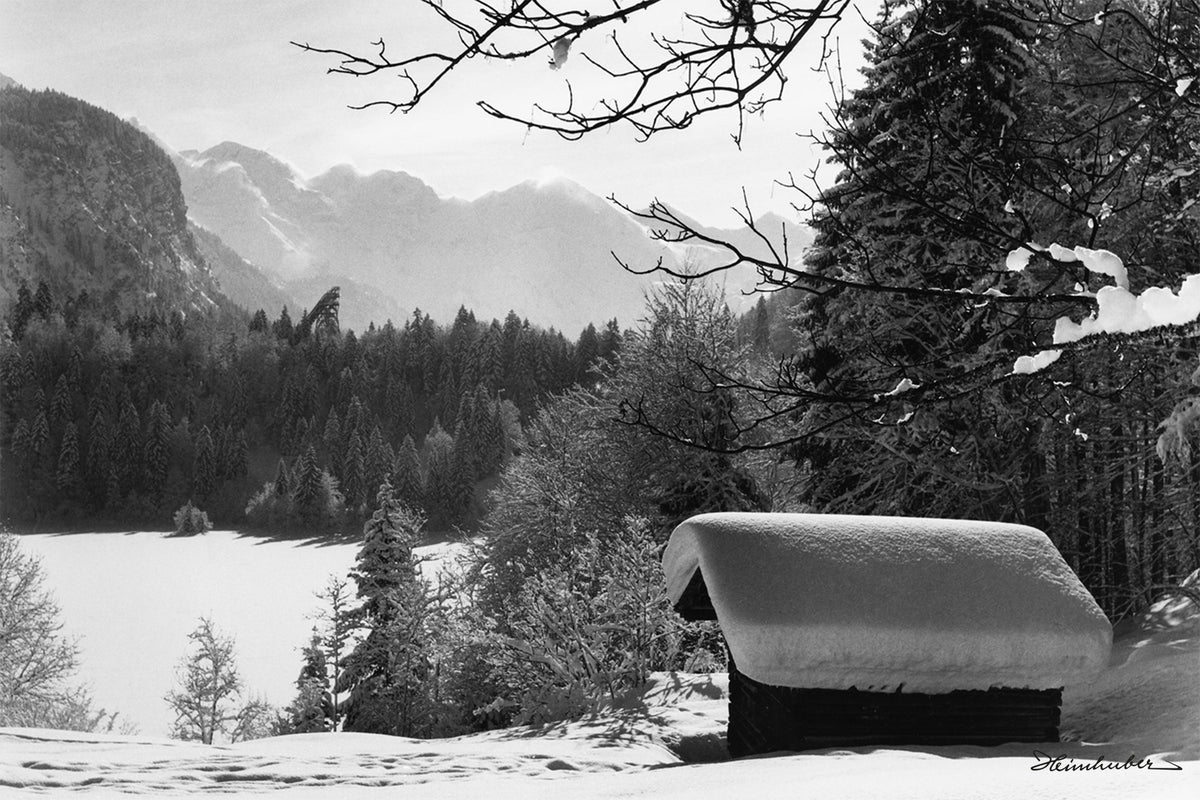 Freibergsee im Winter