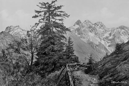 Blick vom Söllereck