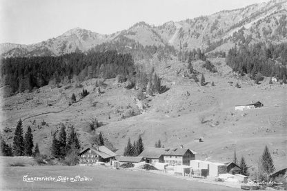 Gunzesrieder Säge