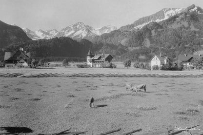Wittelsbacher Hof 1916
