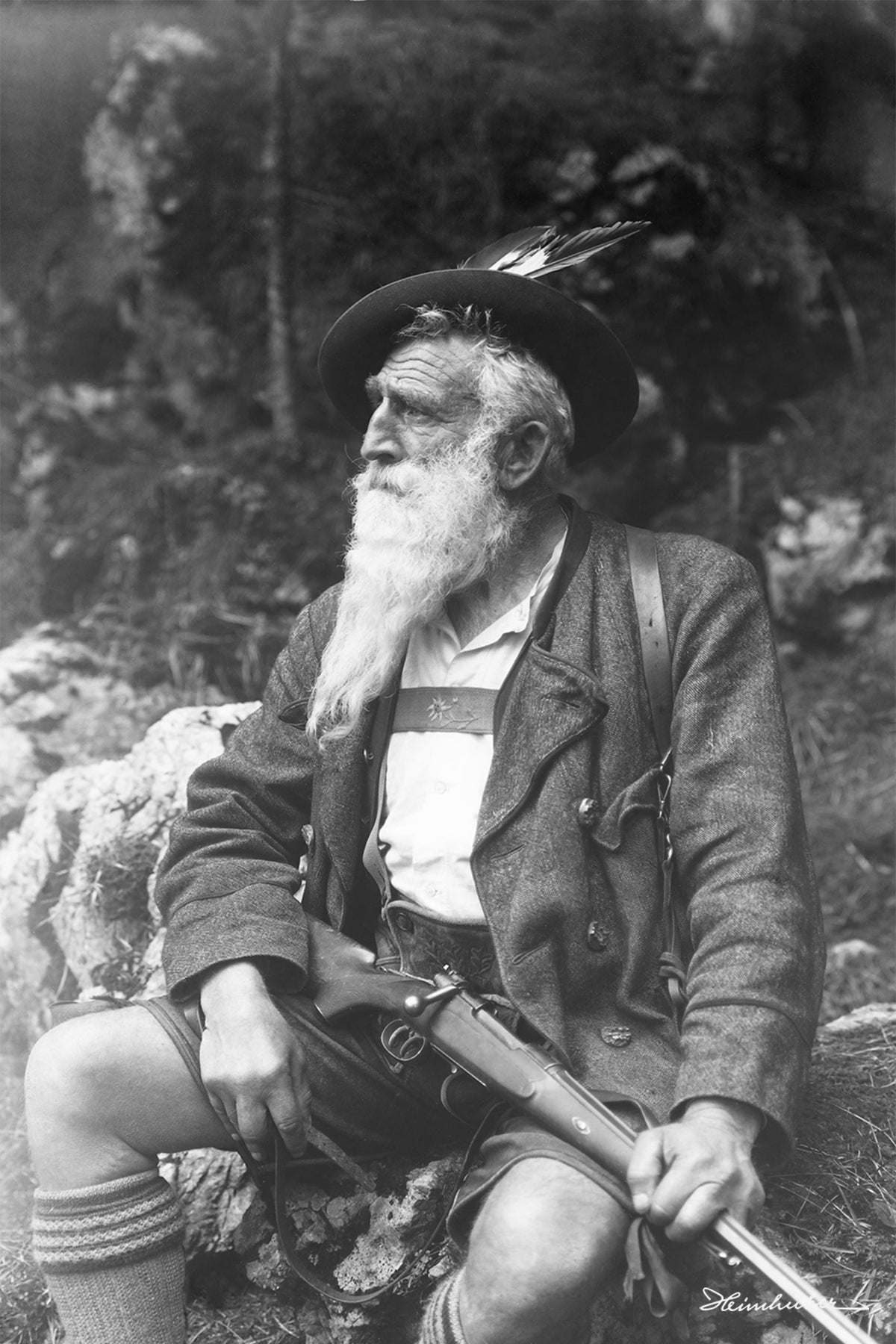 Adlerkönig Leo Dorn II