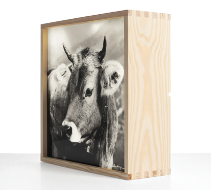 Edition Heimhuber Leuchtbox – Allgäuer Kuh