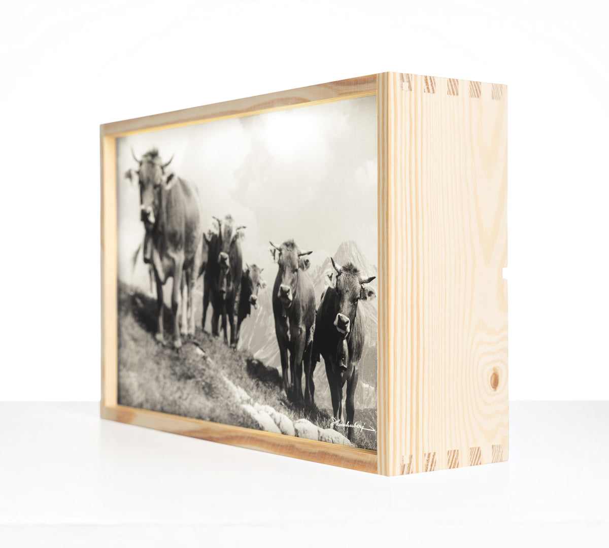 Edition Heimhuber Leuchtbox – Jungvieh am Schrofenpass