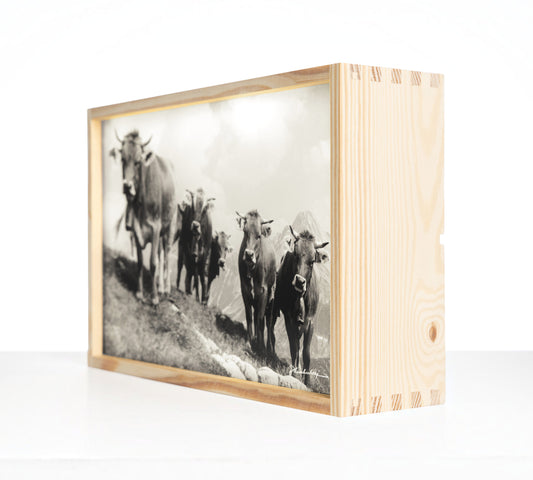 Edition Heimhuber Leuchtbox – Jungvieh am Schrofenpass