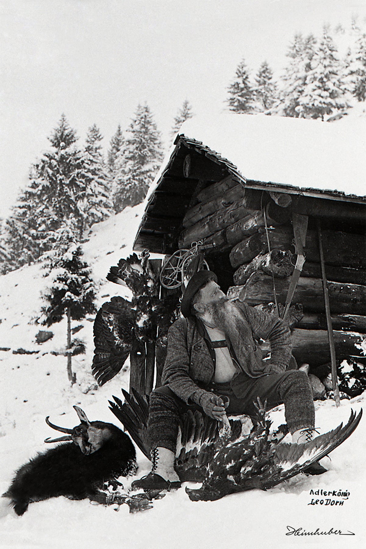 Adlerkönig Leo Dorn - Portrait im Winter