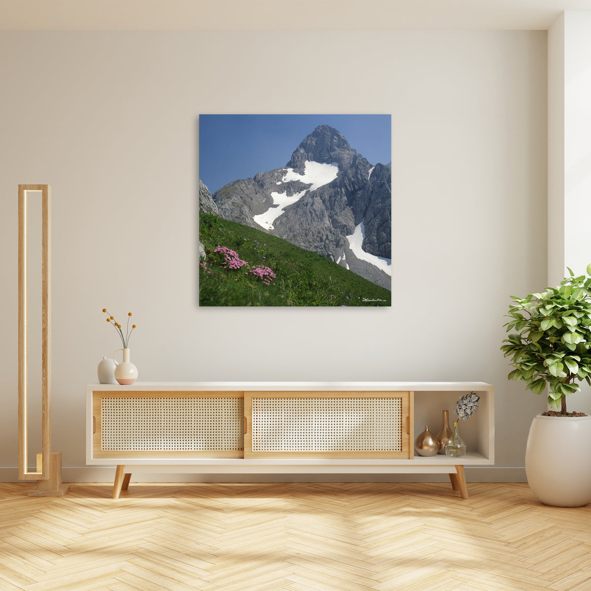 Alpennelken vor Trettach