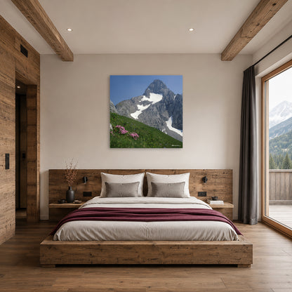 Alpennelken vor Trettach