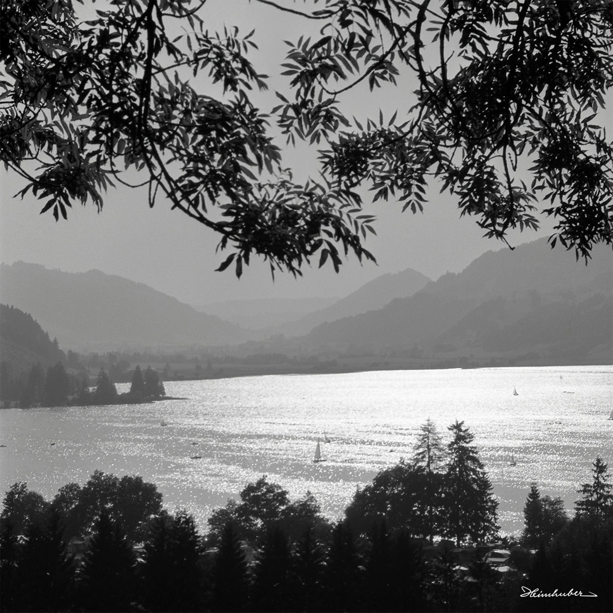 Alpsee mit Booten