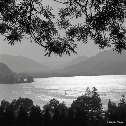 Alpsee mit Booten