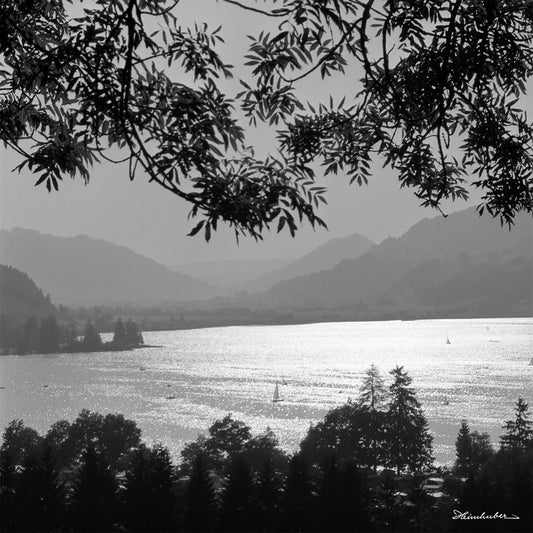 Alpsee mit Booten