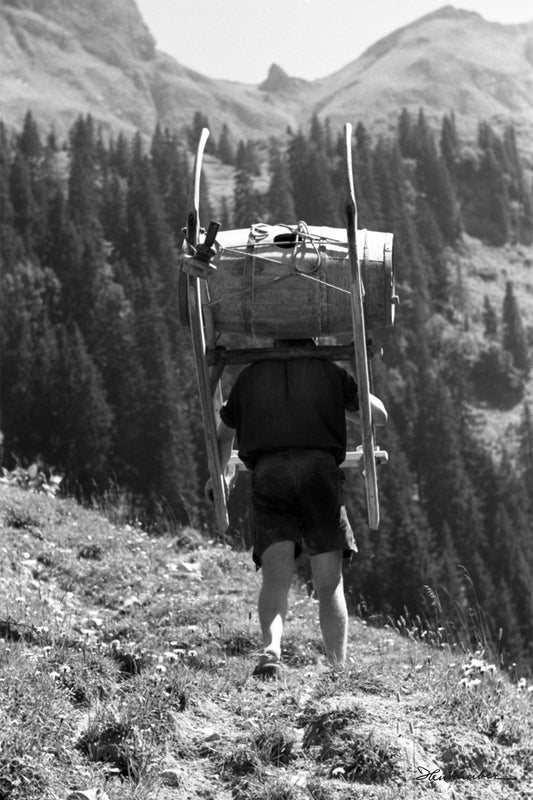 Auf zur Alpe III