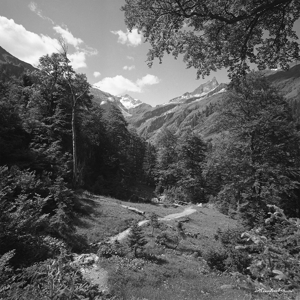 Bärgündle Tal mit Schneck und Großer Wilder