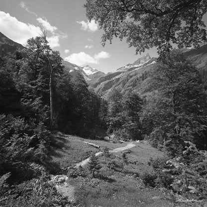 Bärgündle Tal mit Schneck und Großer Wilder