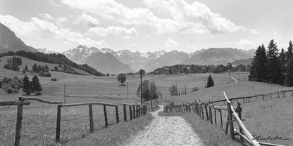 Der Weg