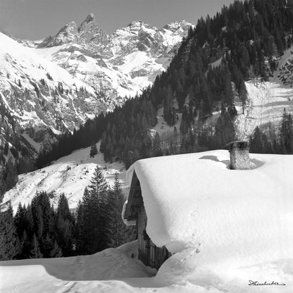 Buchrainer Alpe