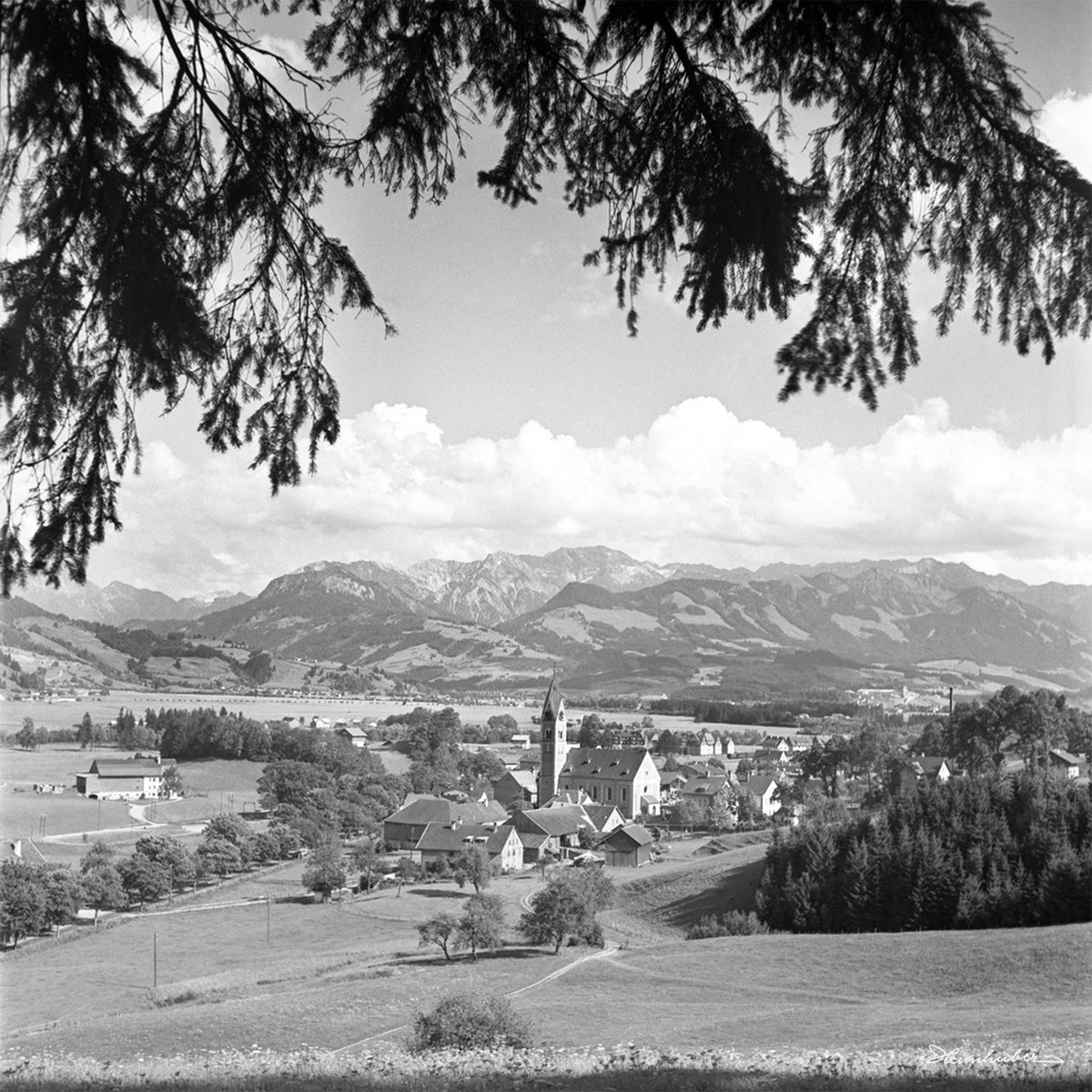 Blaichach mit Tanne