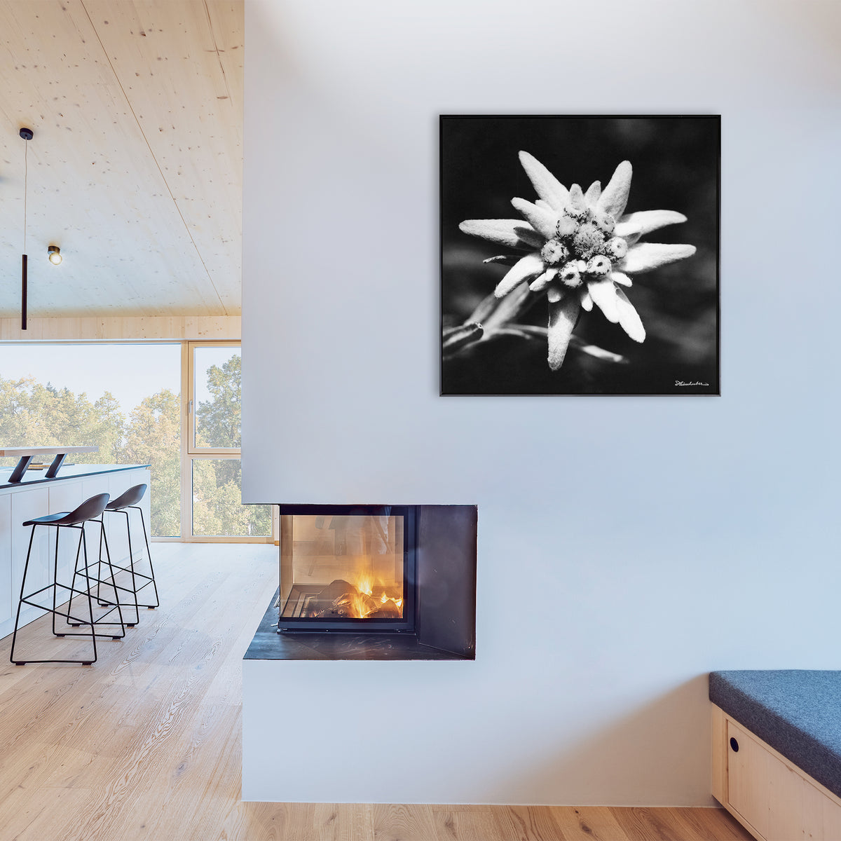 Edelweiß I