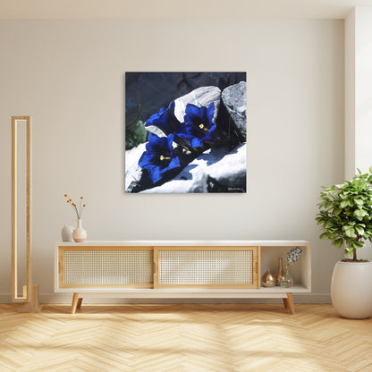 Blauer Enzian III