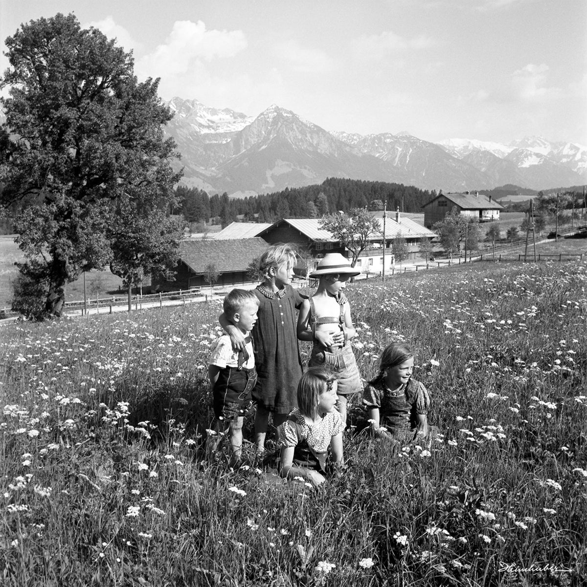 Frühlingswiese I