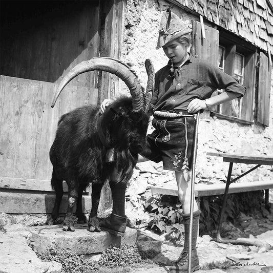 Geißbock und Hirte auf der Sölleralpe