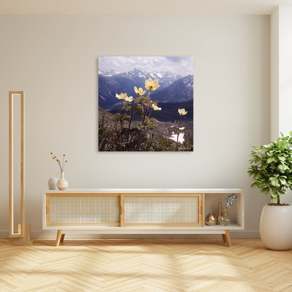 Gelbe Anemonen