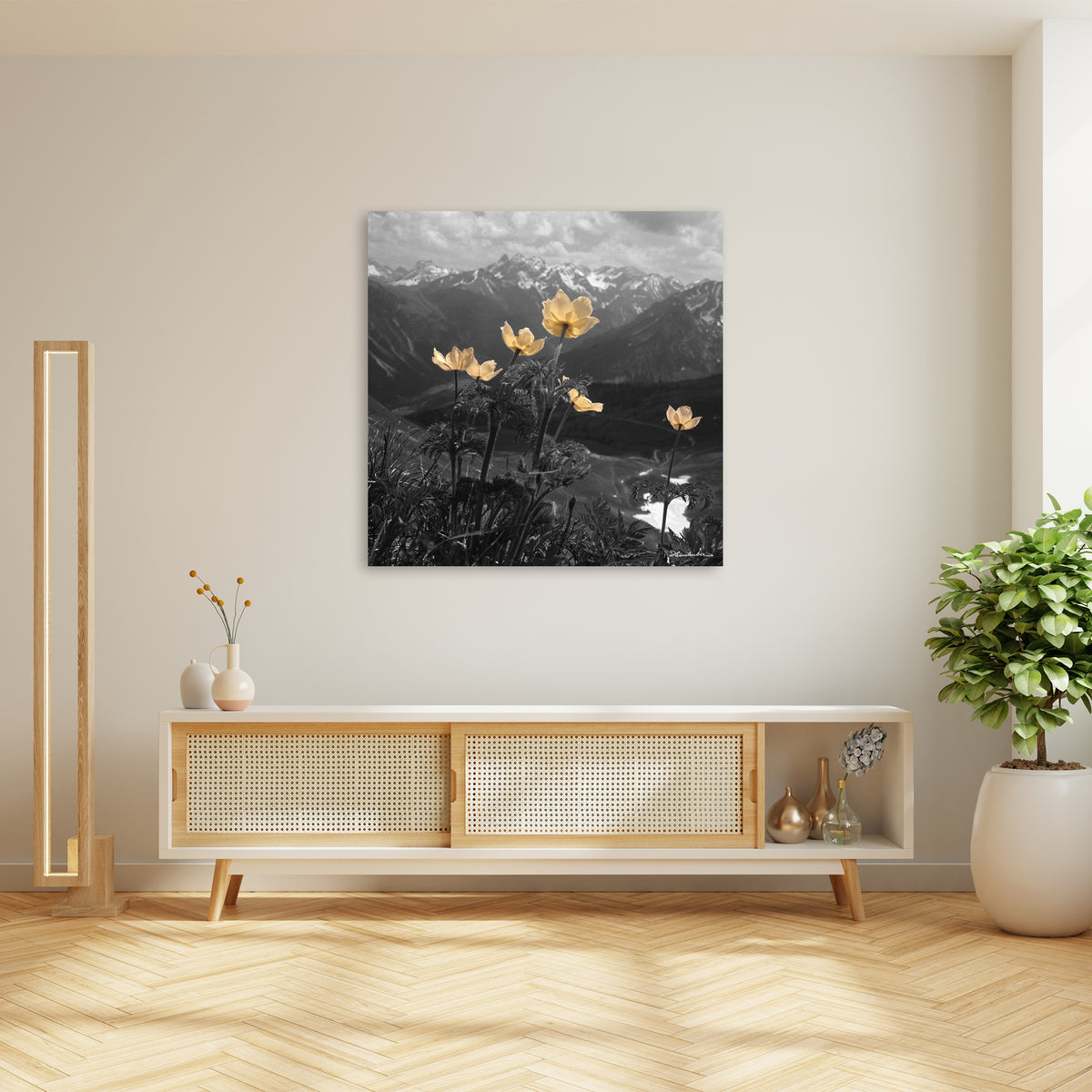 Gelbe Anemonen - teilcoloriert