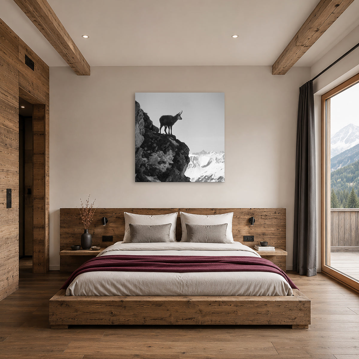 Junge Gemse am Nebelhorn