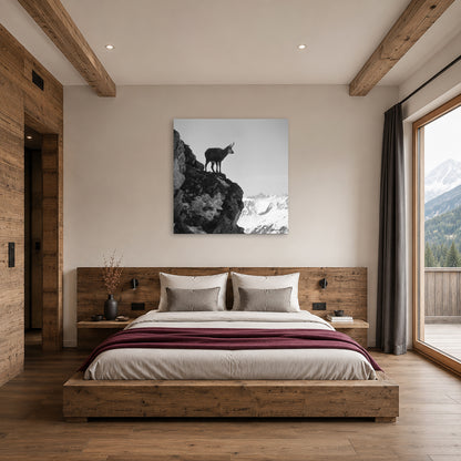 Junge Gemse am Nebelhorn