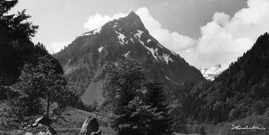 Der Giebel