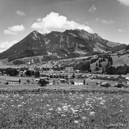 Wächter des Allgäus