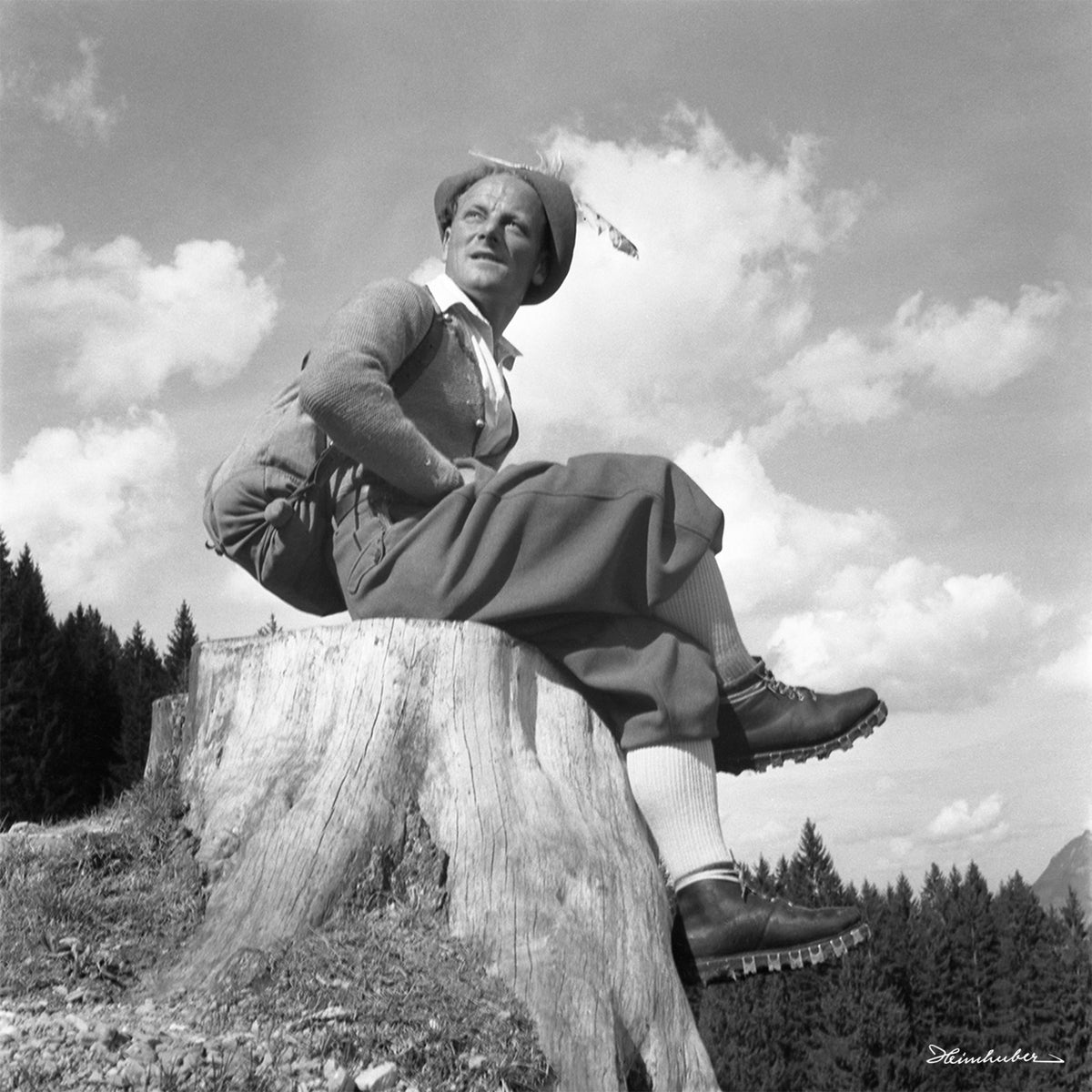 Berghäs