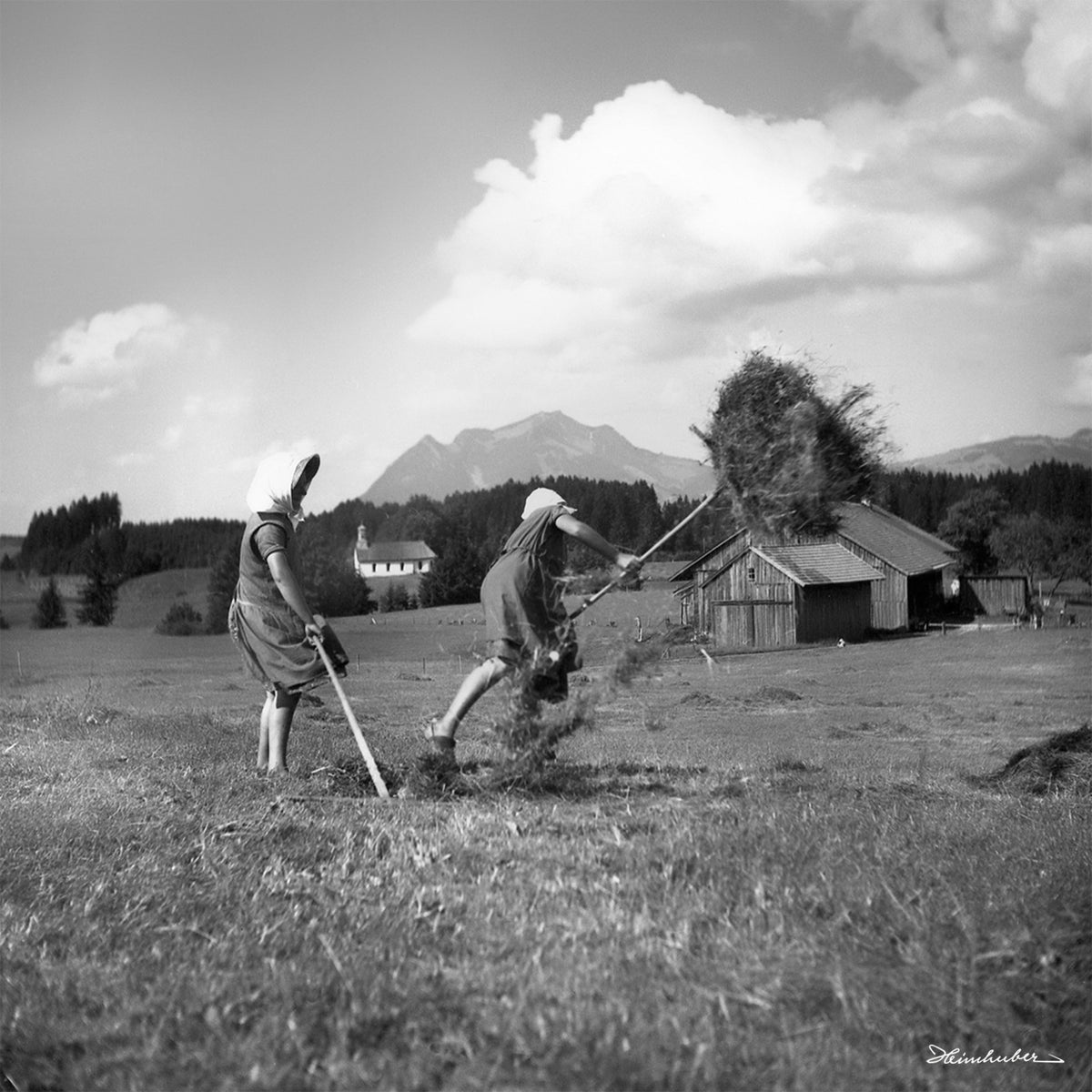 Feldarbeit