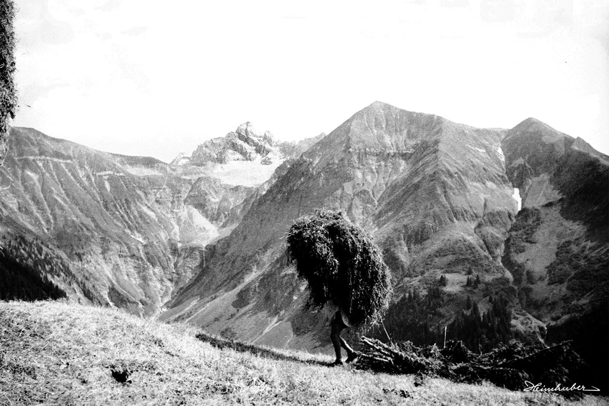 Heuernte im Traufbachtal