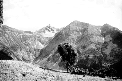 Heuernte im Traufbachtal