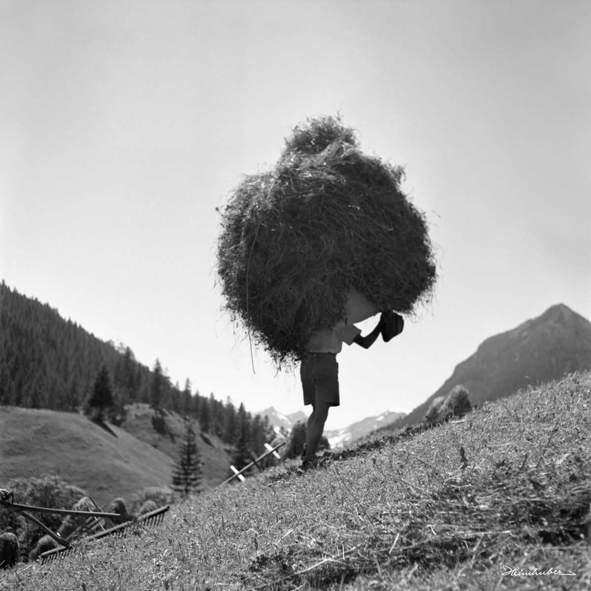 Burden Träger