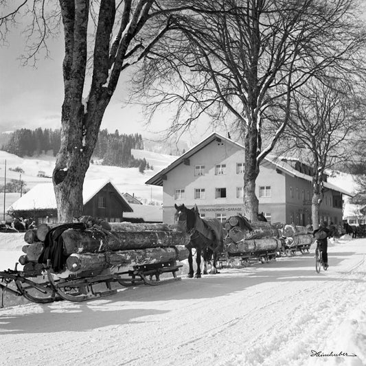 Holzfuhrwerke in Bihlerdorf
