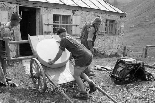 Käse Transport I
