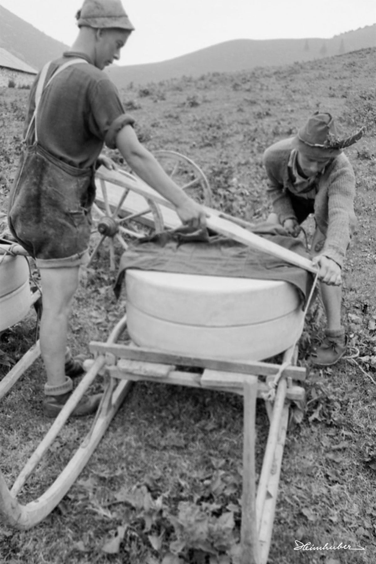 Käse Transport II