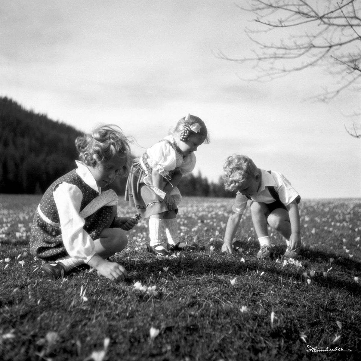 Kinder auf der Krokuswiese