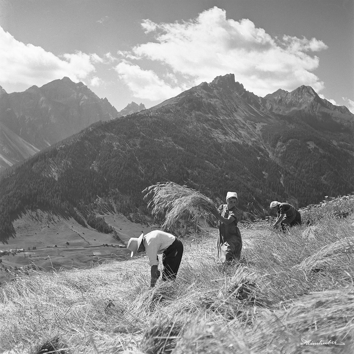 Kornernte 1943 II