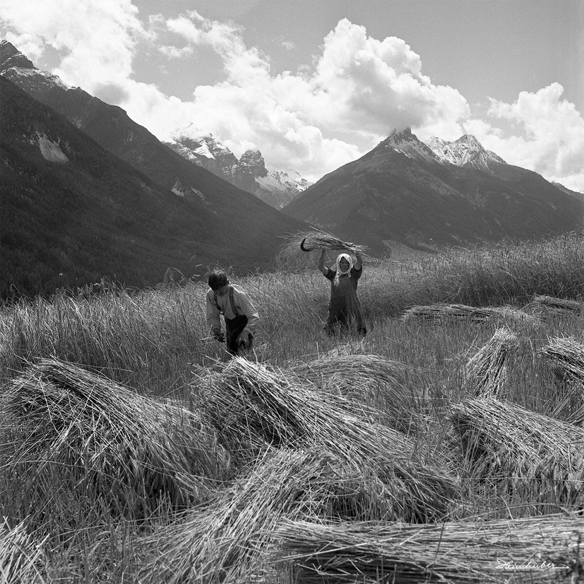 Kornernte 1943