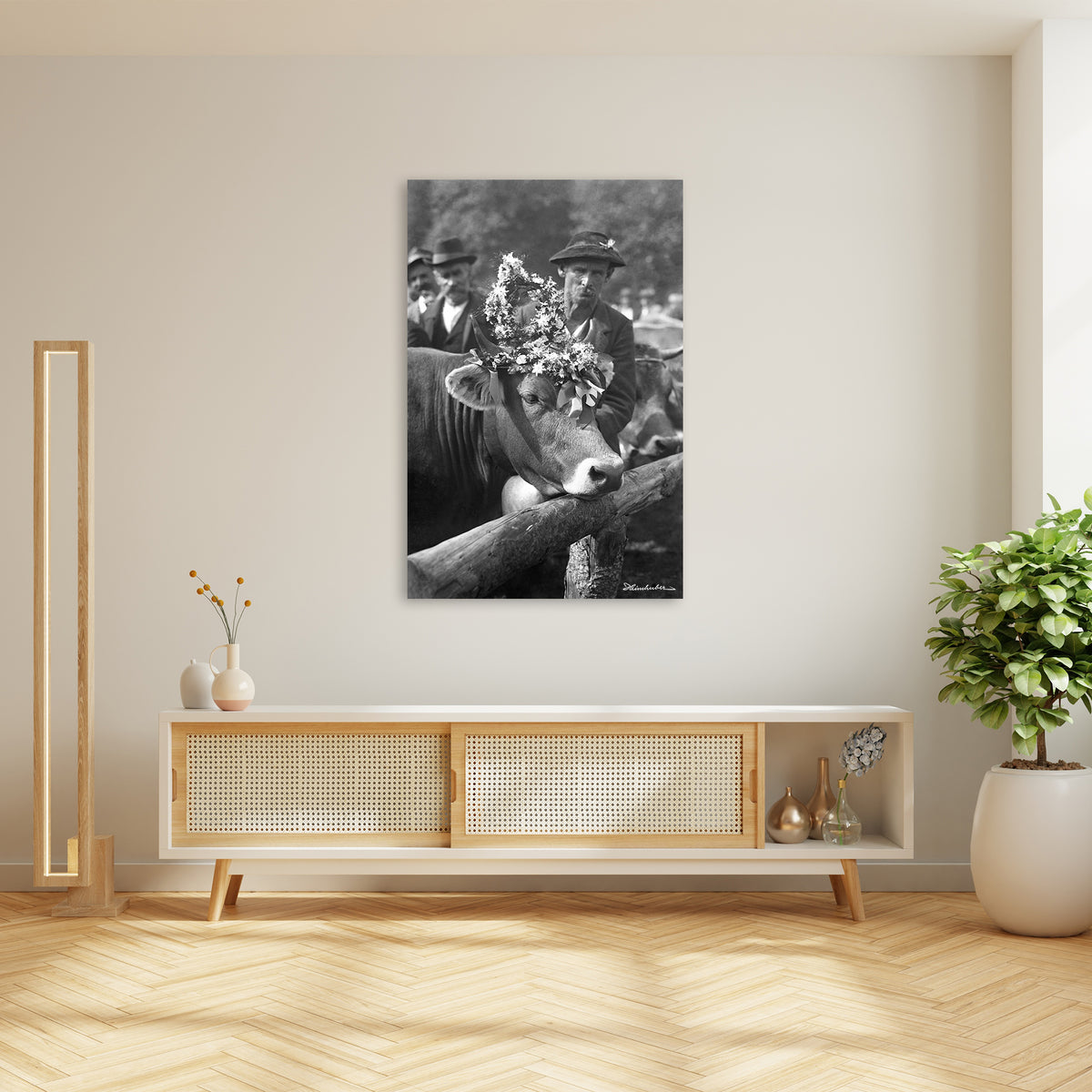 Kranzkuh 1929