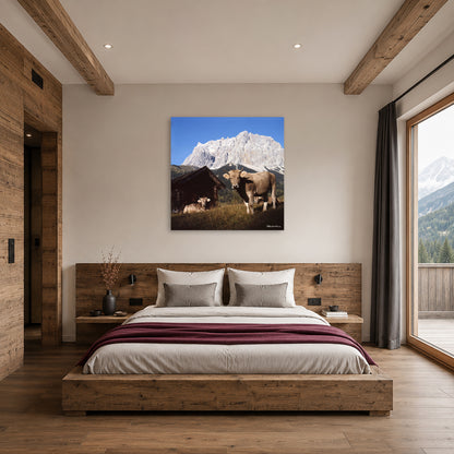 Kühe vor Zugspitze