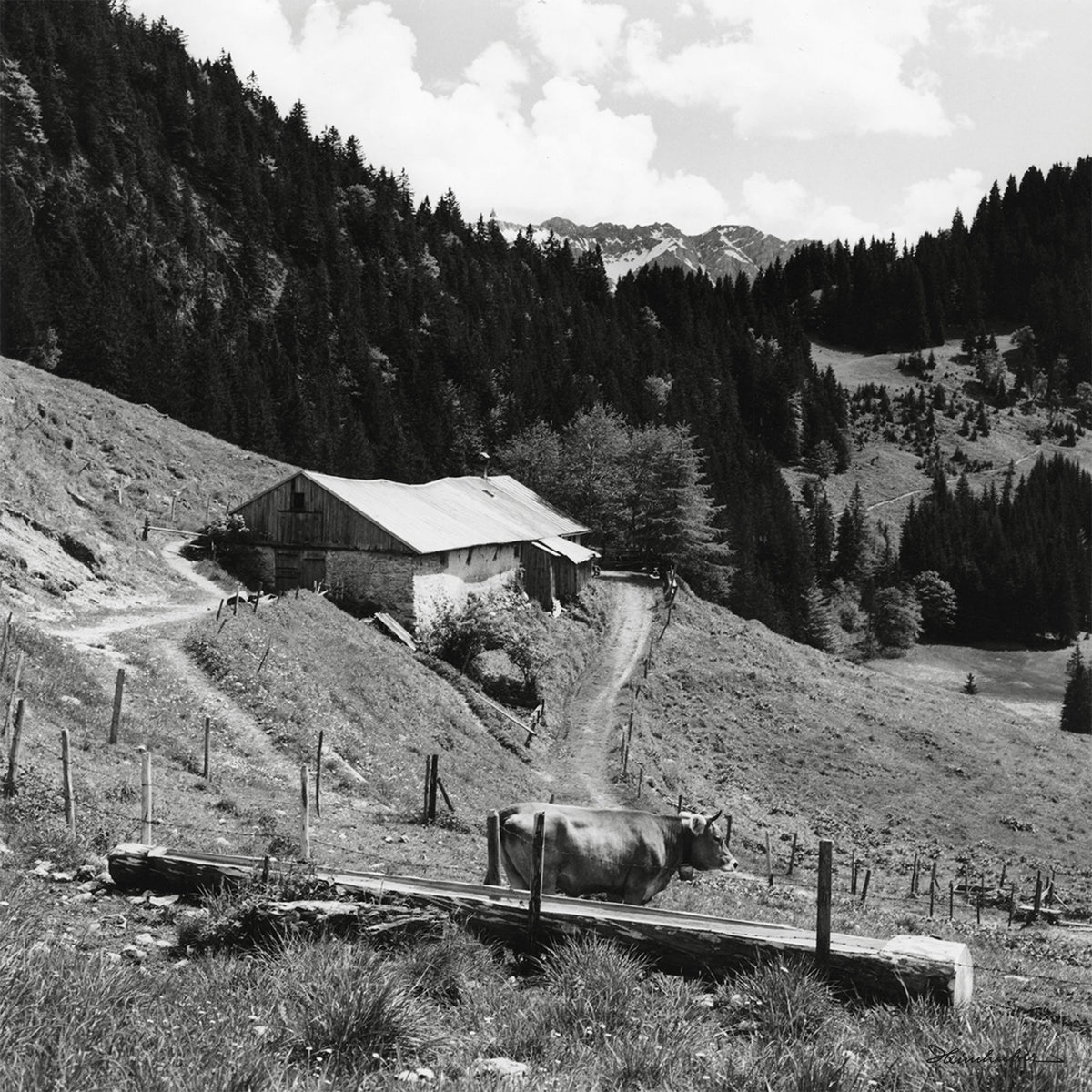 Blick zur Straußbergalpe