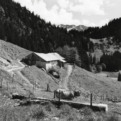 Blick zur Straußbergalpe