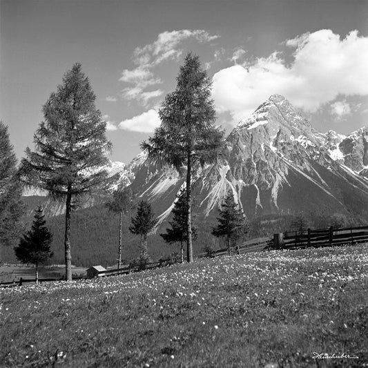 Sonnenspitze