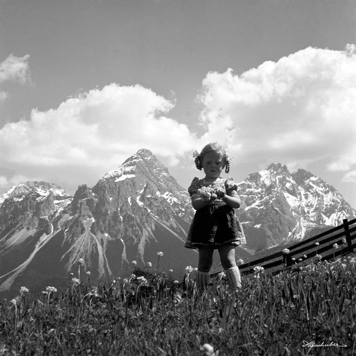 Luisi auf der Blumenwiese III